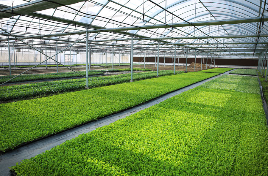 1475199463615505T4Q4.jpg 1475199463615505T4Q4.jpg