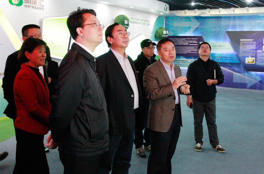 1479977786833942kWP5.jpg 1479977786833942kWP5.jpg