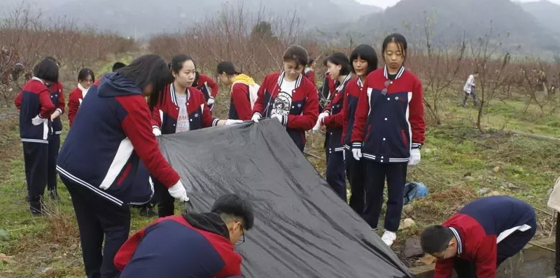 1550562813843912Ood1.jpg 15.jpg